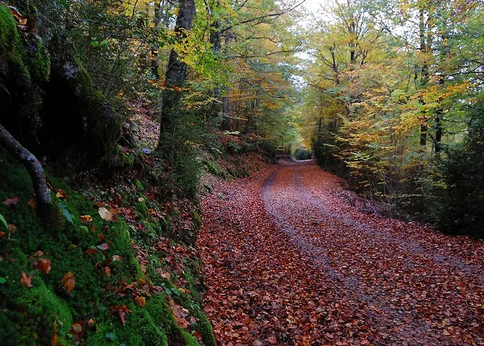 Apartamento Casa La Cuadreta Calvera